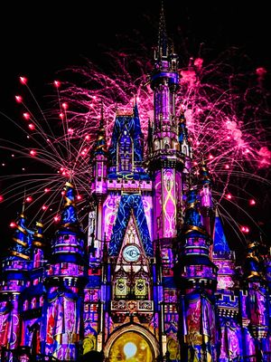 Vibrant pink fireworks burst over a majestic illuminated castle facade glowing in blue and purple lights against night sky.