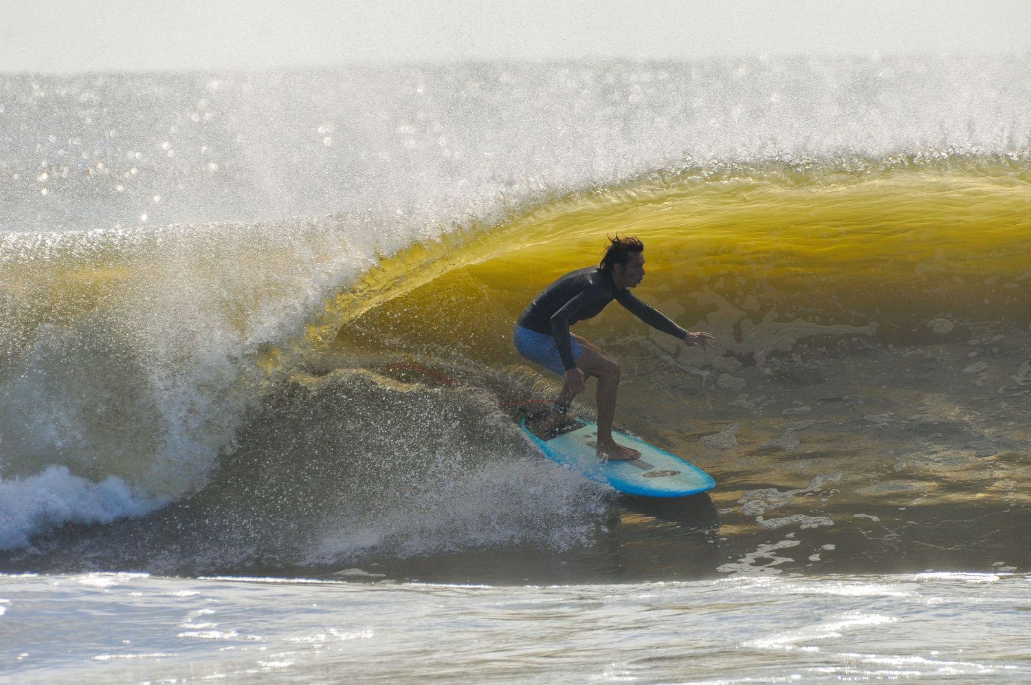 surfing