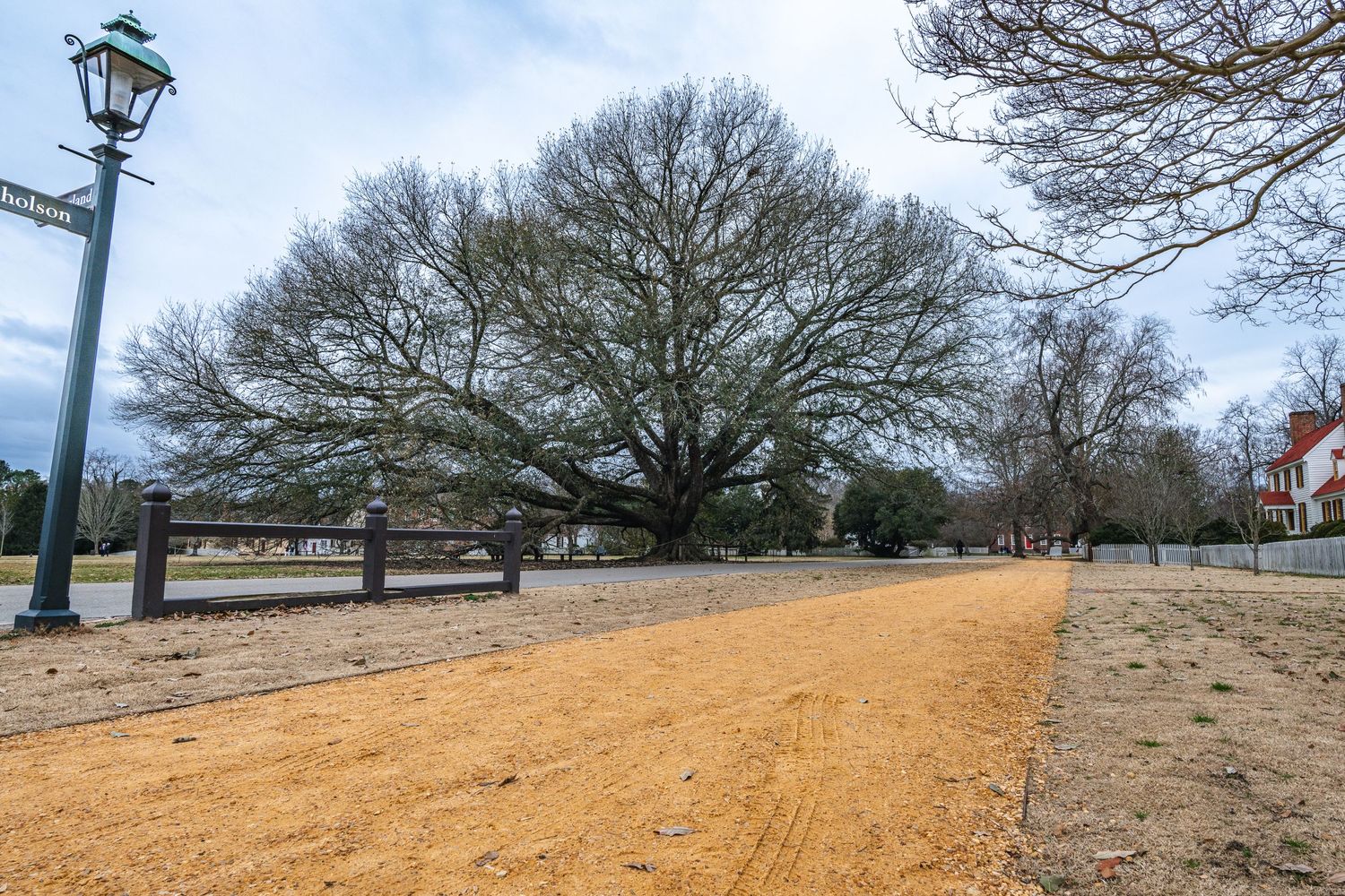 A dirt path winds past lamp posts and large oak trees on a winter day at Colonial Williamsburg.