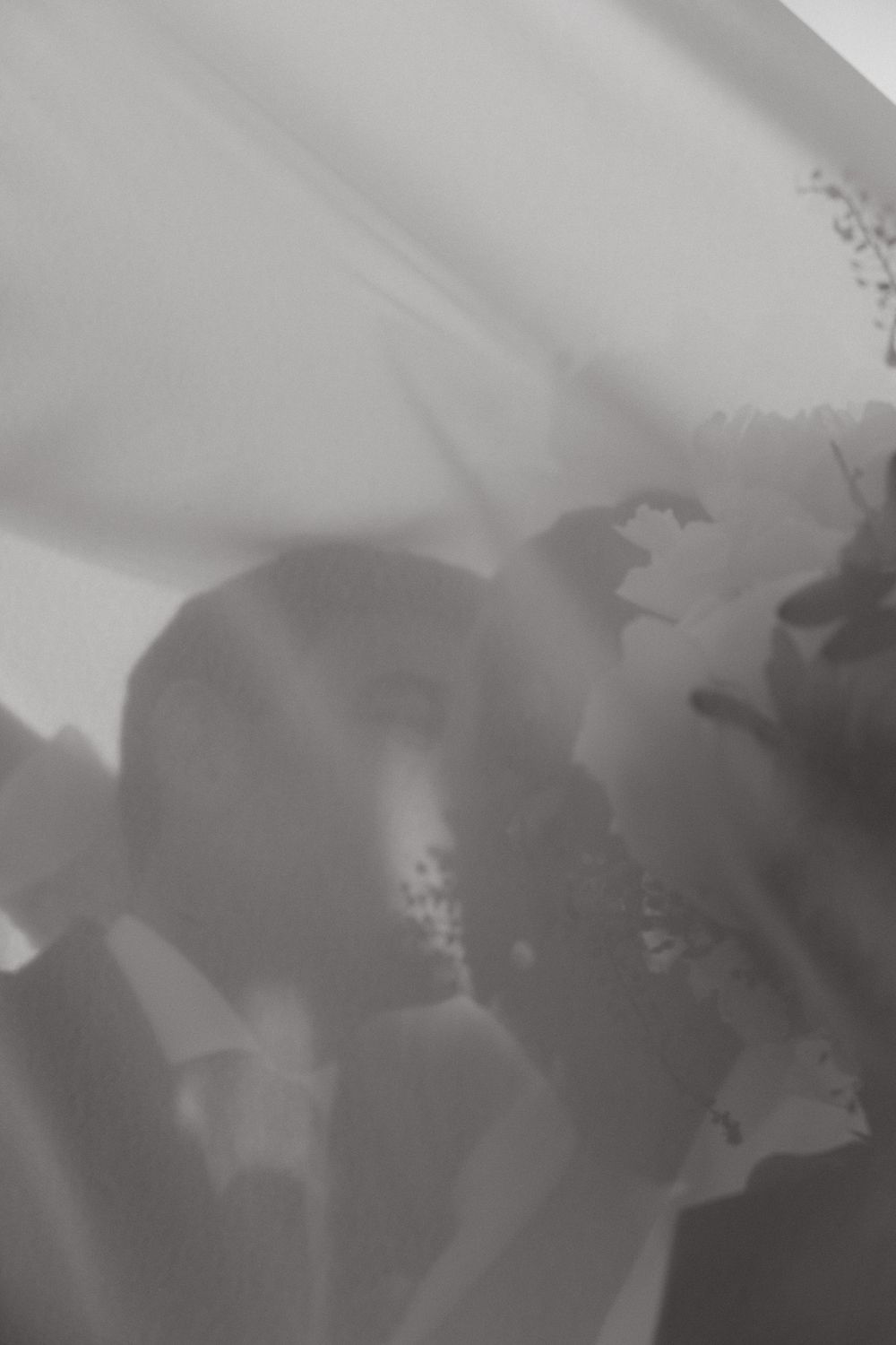Artistic black and white silhouette of flowers with soft light filtering through.