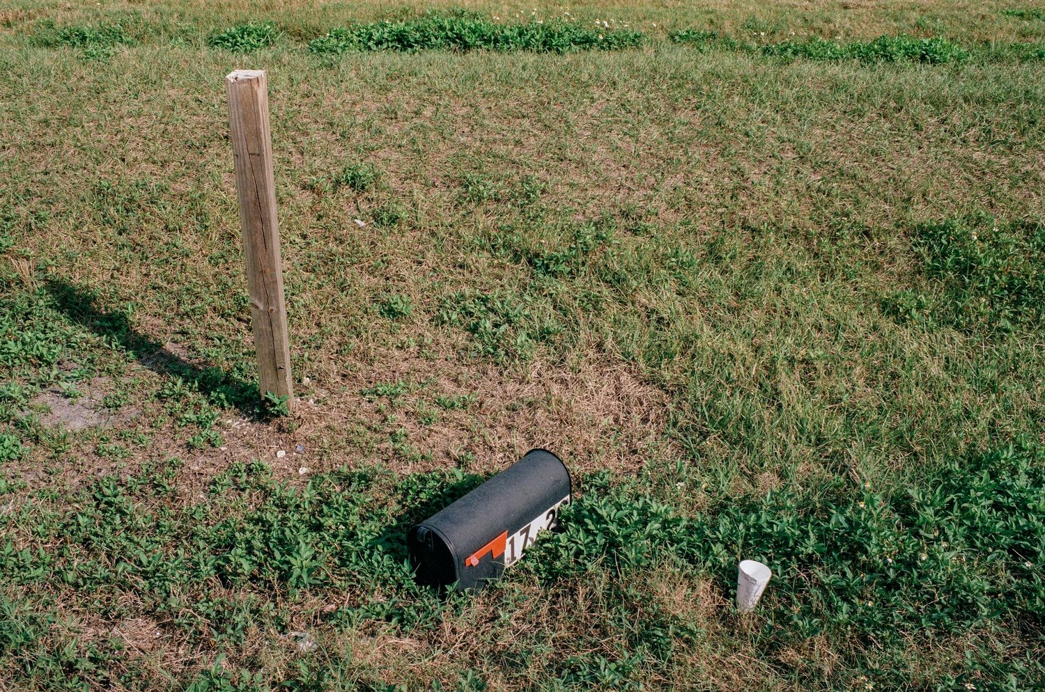 A wooden post and black mailbox sit in a grassy field on a sunny day.