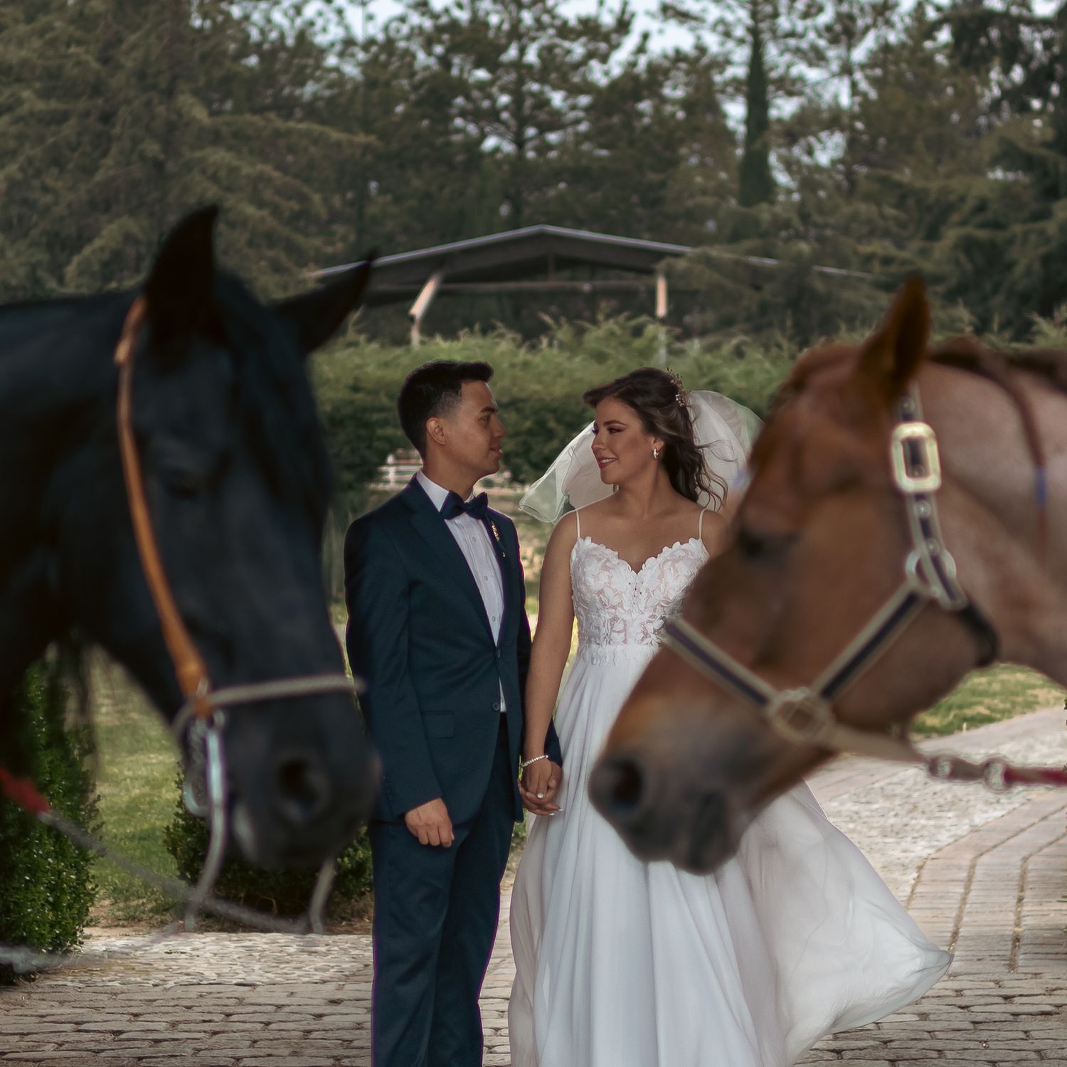 Bride and groom pose with brown horses in an outdoor wedding photoshoot.
