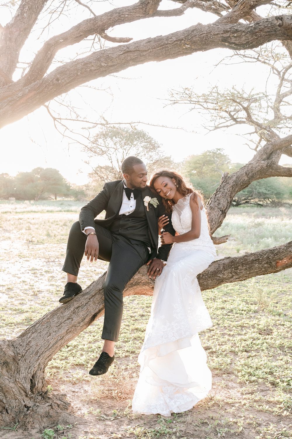 Bride and groom sit on tree branch laughing together in warm golden sunset light. Palala Boutique Game Lodge & Spa.