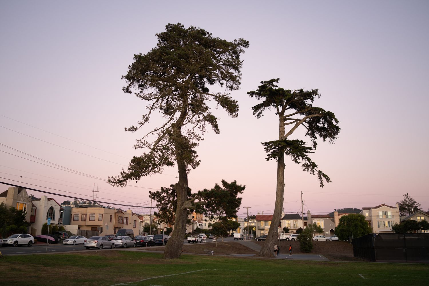 Misty San Francisco park at dusk with tall trees, green lawn, and residential buildings under overcast skies.