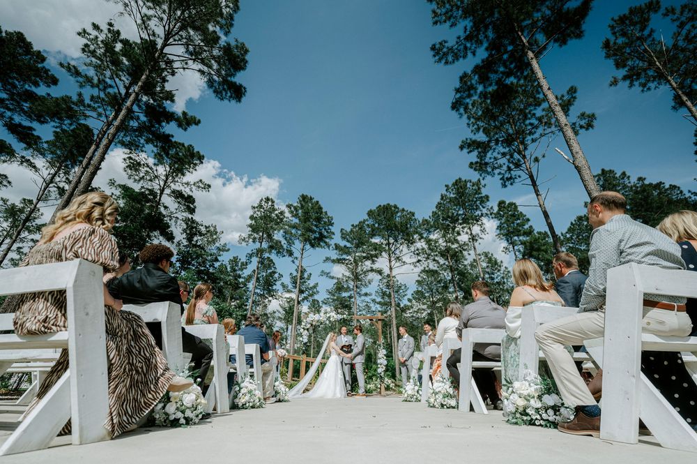 Outdoor wedding ceremony with guests seated in white chairs along an aisle, surrounded by tall pine trees under a blue sky.