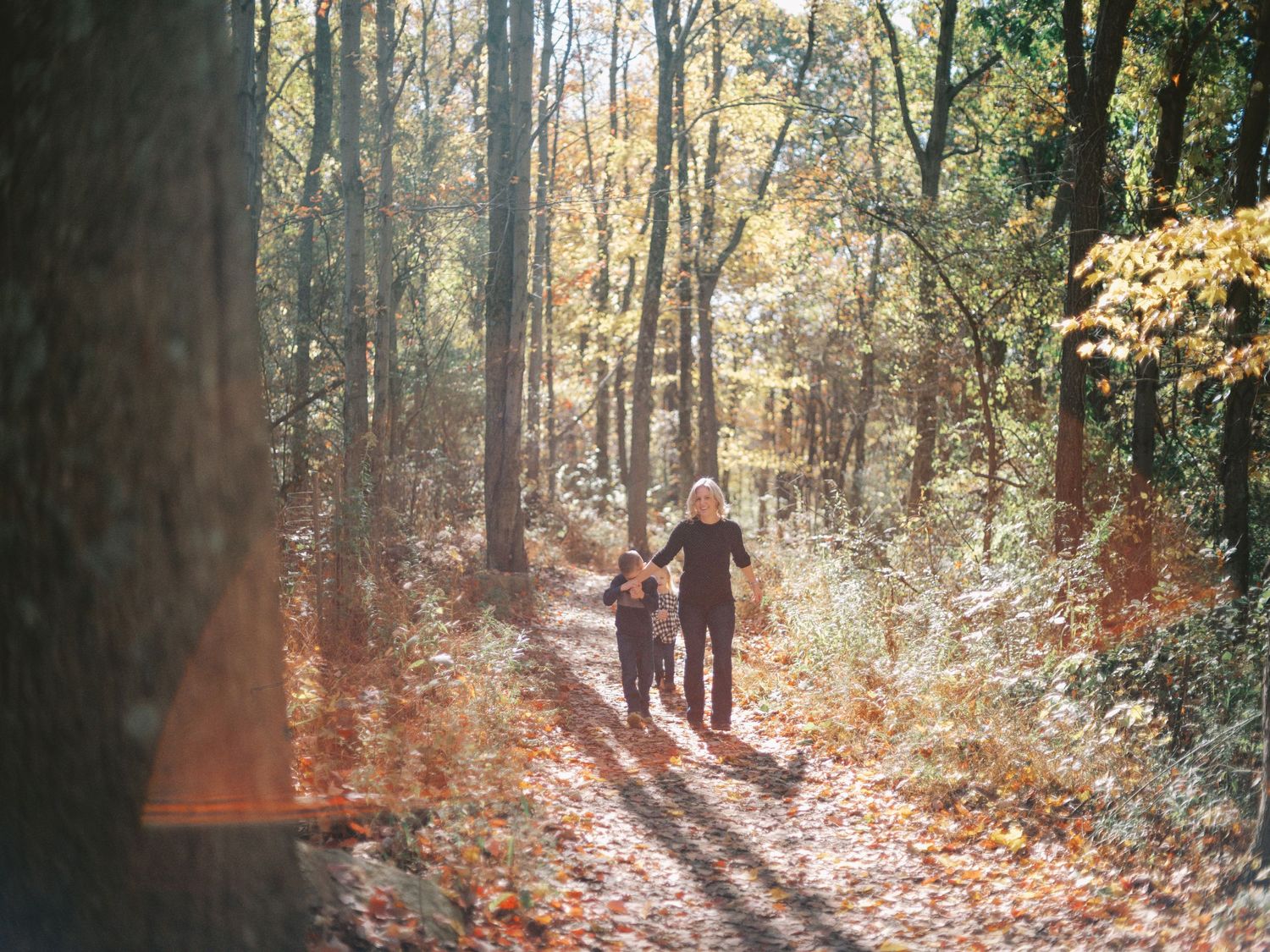 Two people walk along a sunlit autumn forest trail surrounded by colorful foliage and tall trees.