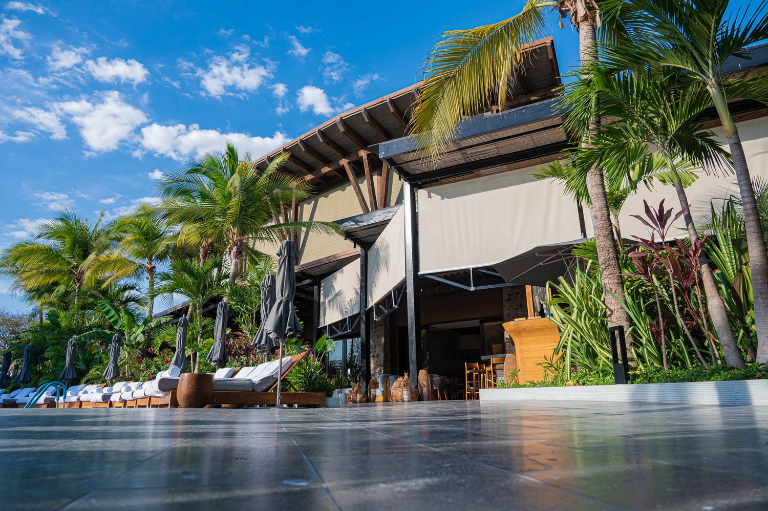 Luxury tropical resort with palm trees, outdoor lounge chairs, and modern architecture under a bright blue sky.