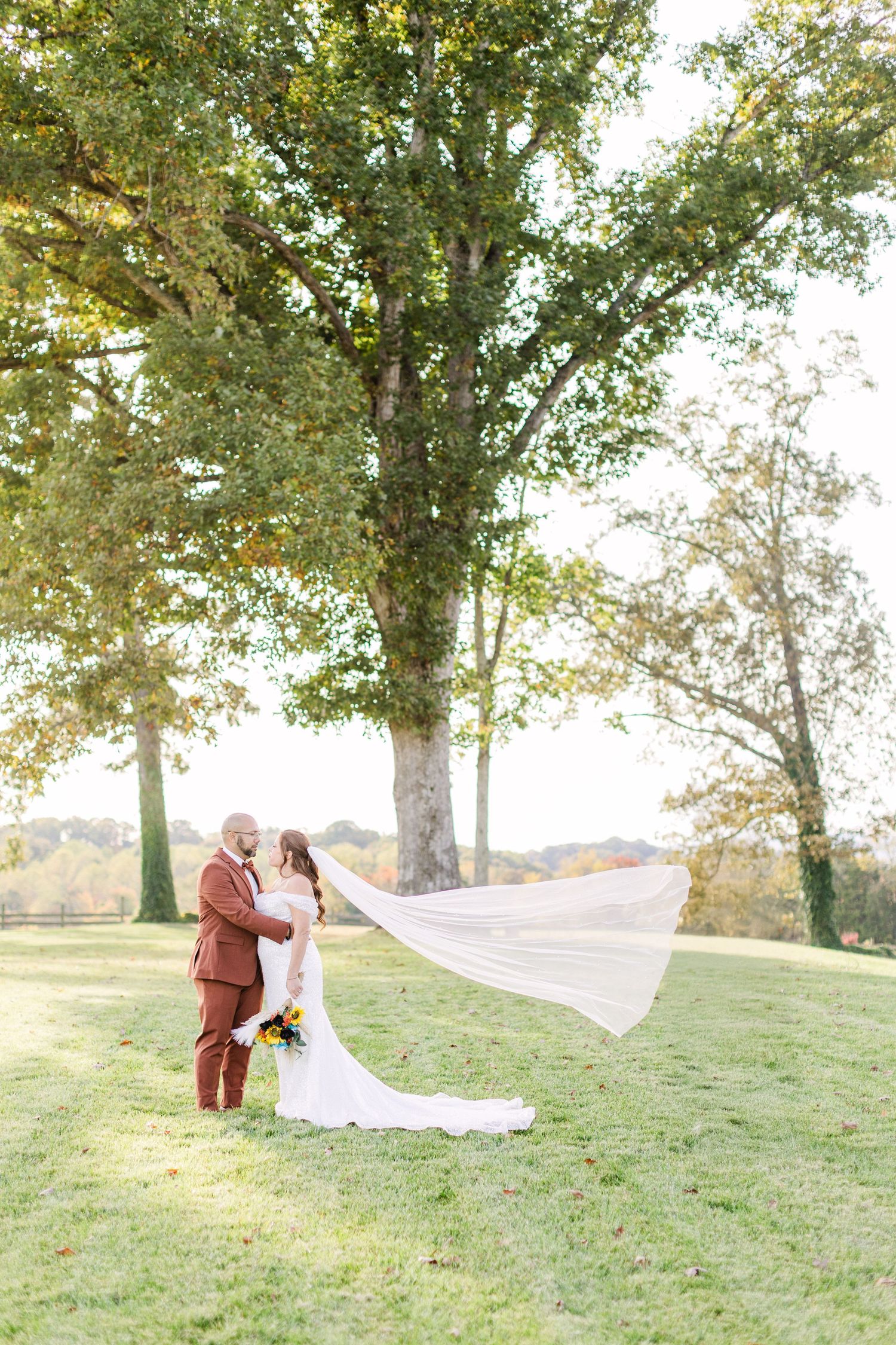 Bride and groom share a romantic kiss under a large tree, with the bride's veil flowing in the wind on a sunny day.