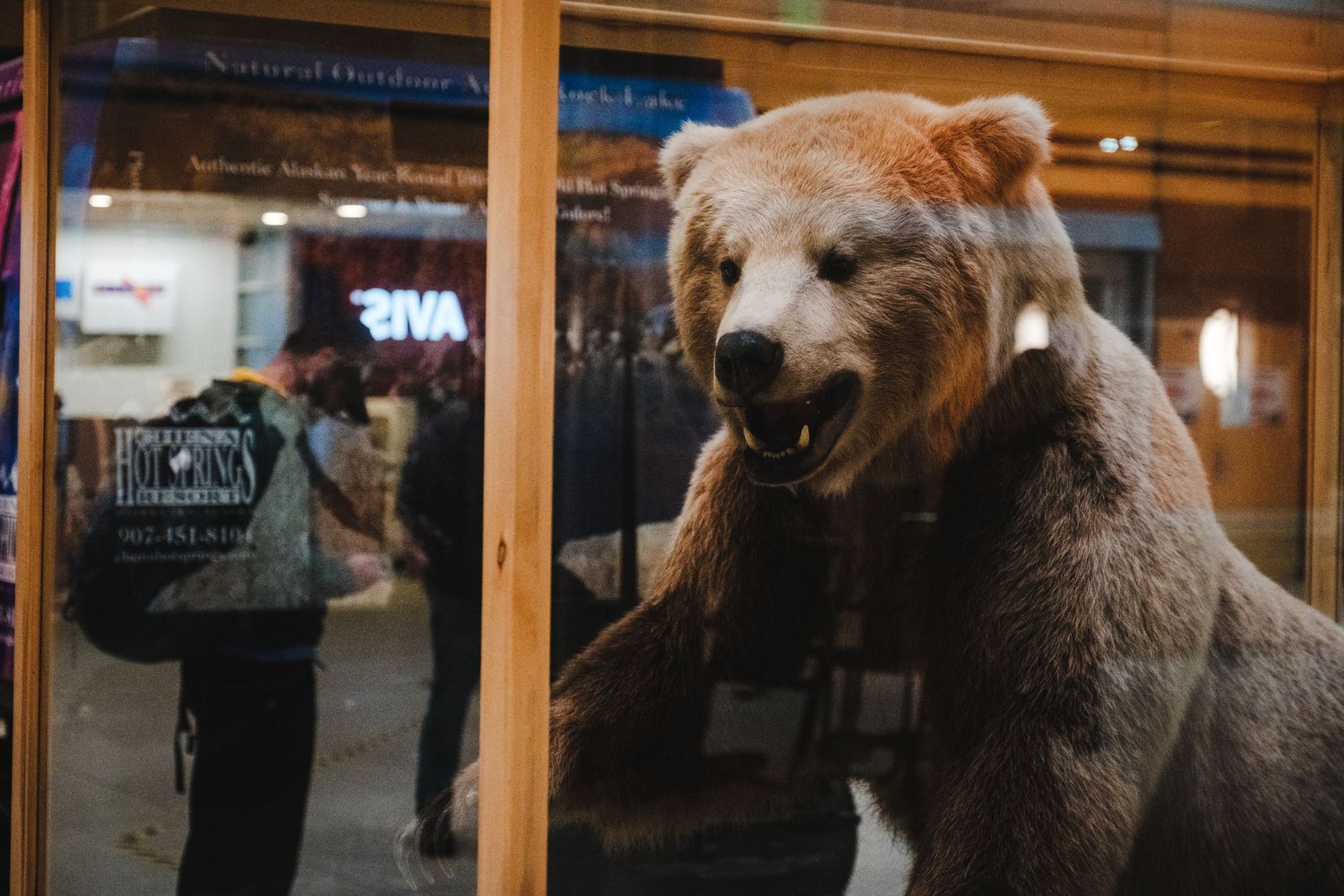 A taxidermied grizzly bear display in a museum exhibit with visitors visible in the background.