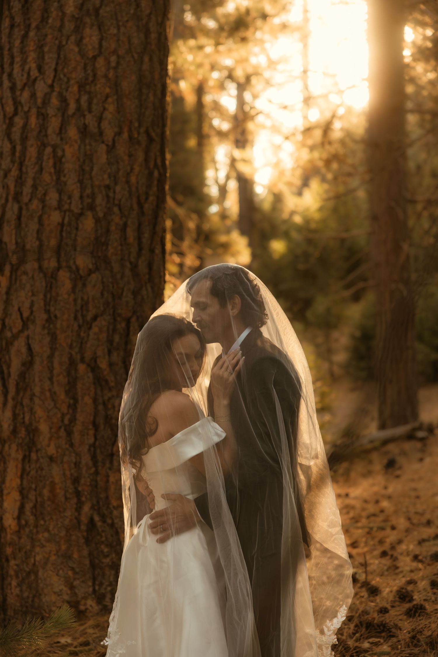 Bride and groom share romantic moment under veil in golden sunlit forest wedding portrait captured by a los angeles wedding photographer