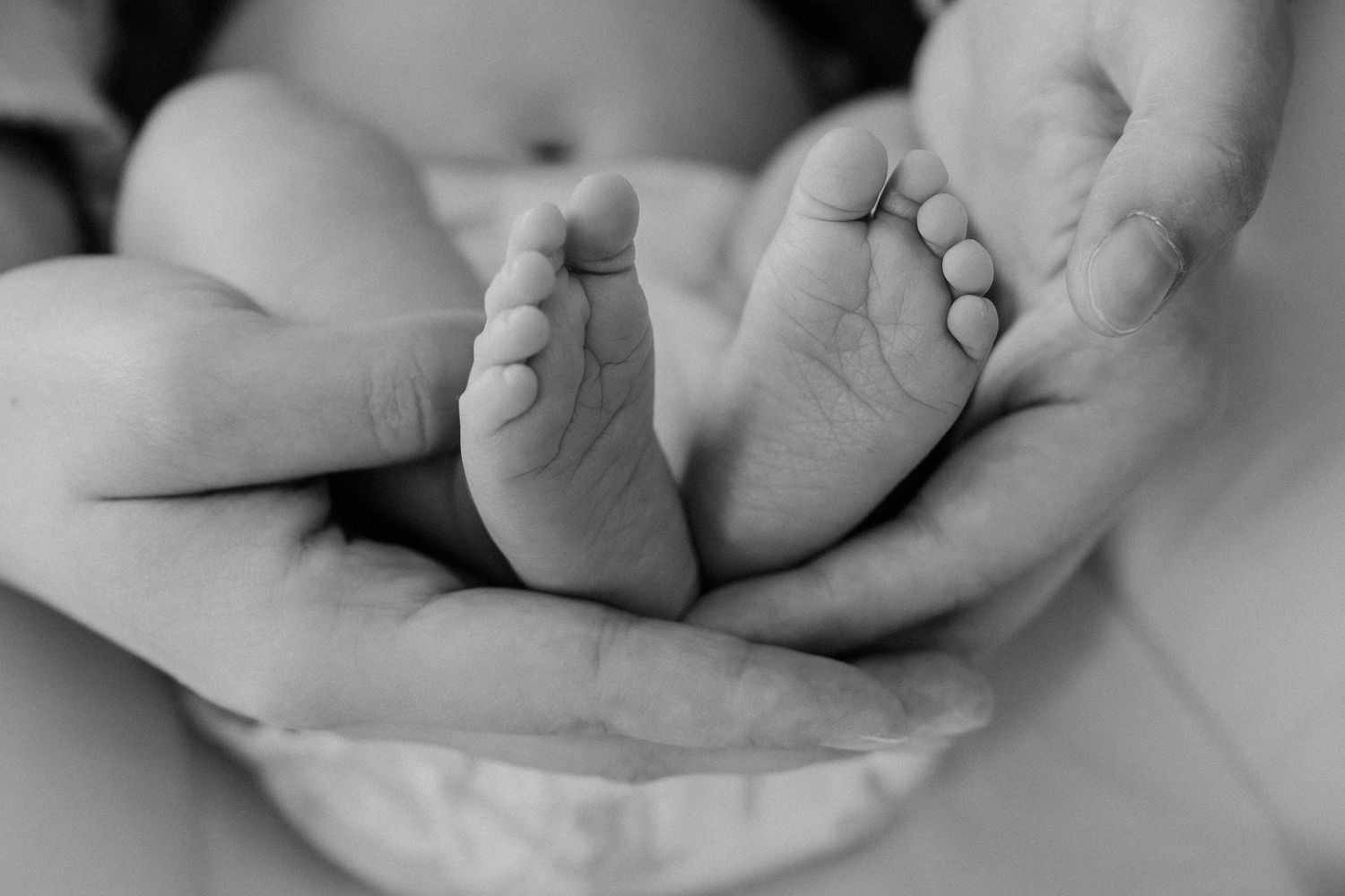 Black and white photo of a parent cradling tiny newborn baby feet in their hands.
