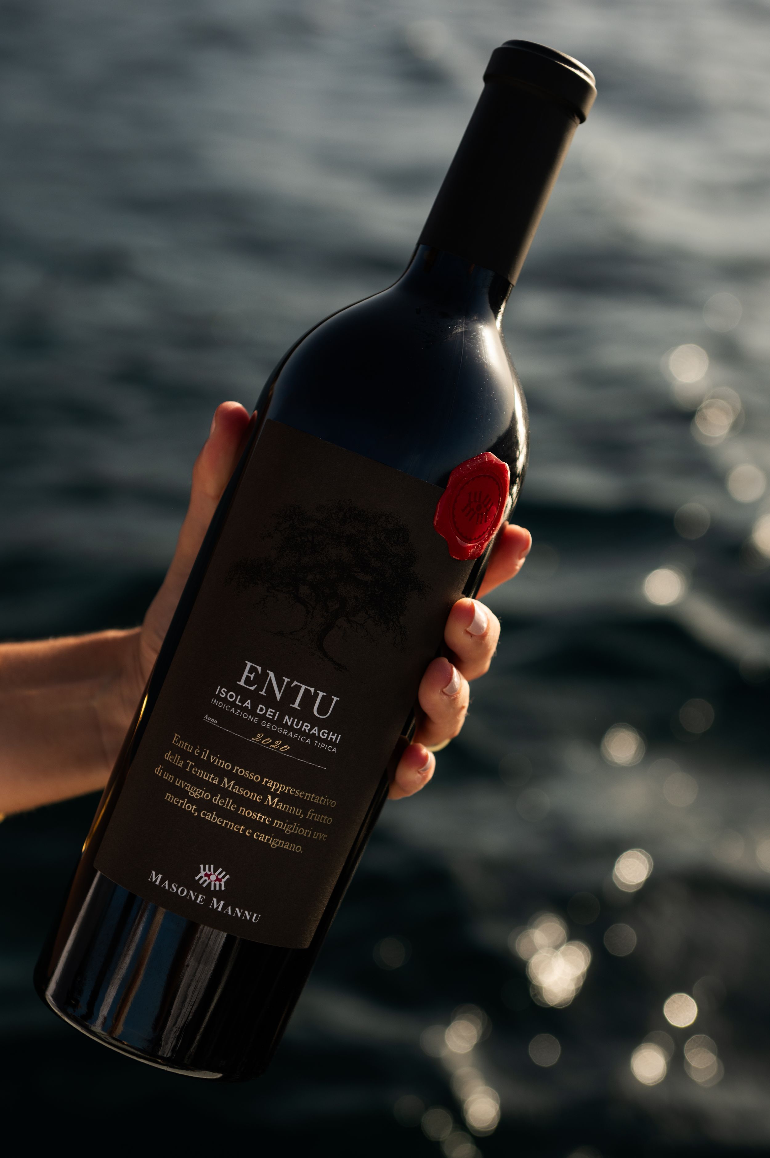 Hand holding dark wine bottle against sparkling water background at sunset.