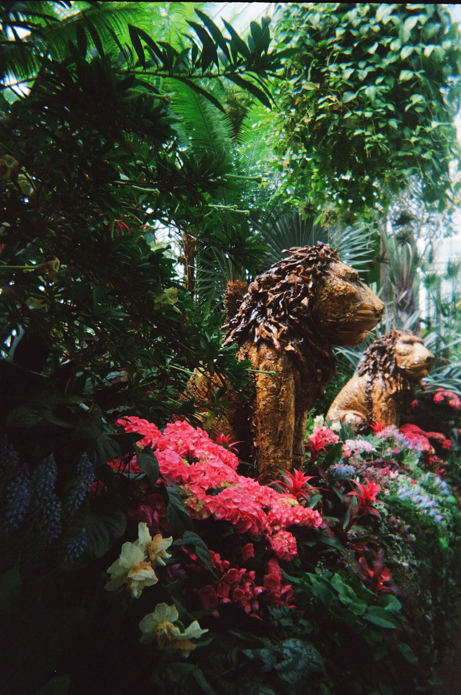 lion statue at biltmore on film