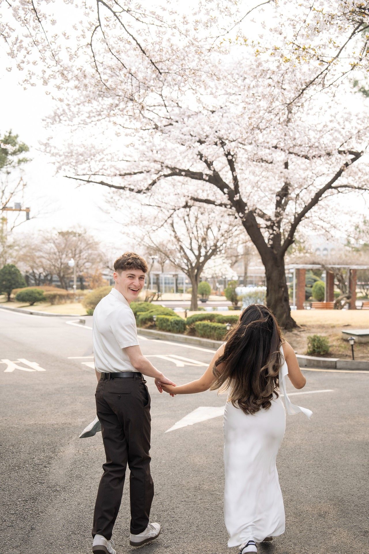 Couple holding hands under blooming cherry blossom trees on a street, smiling in spring.