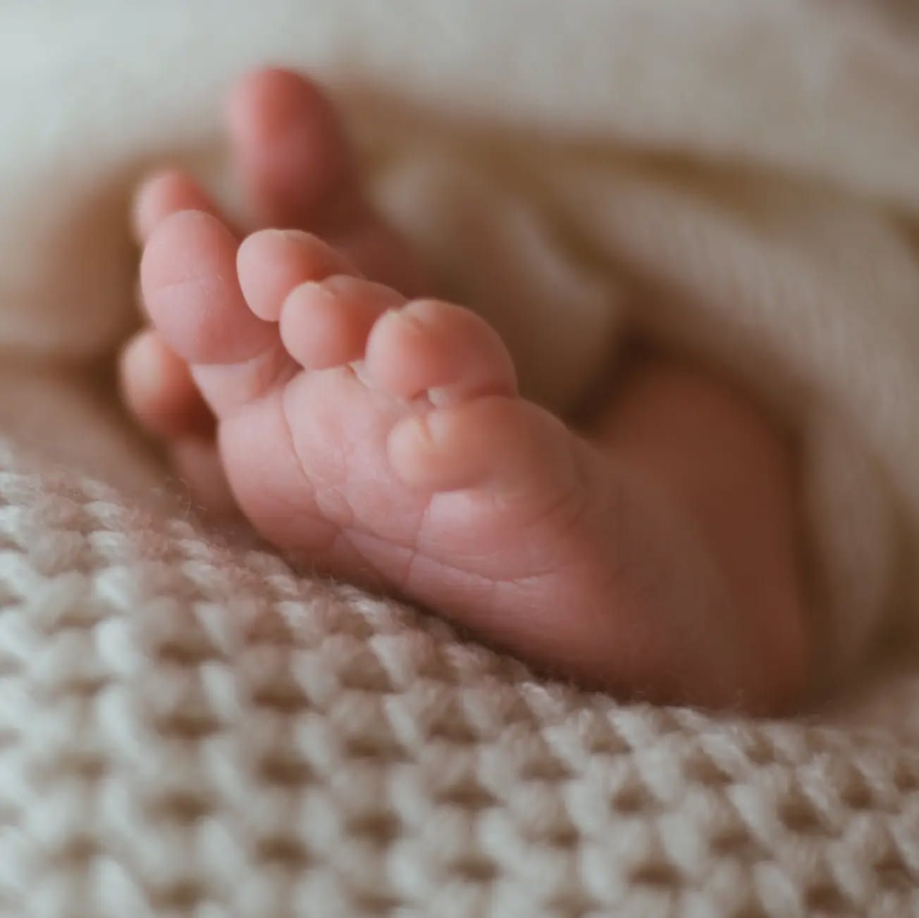 piedi