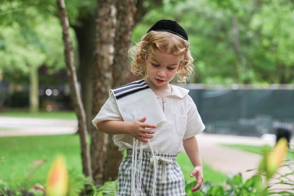 Curly-haired boy in white shirt and plaid pants looking down at plants in a sunny park.