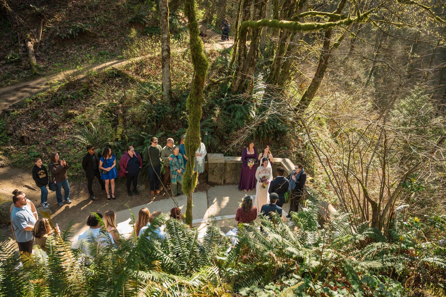 Wedding couple kissing under a waterfall surrounded by cheering guests raising hands on a forest path.