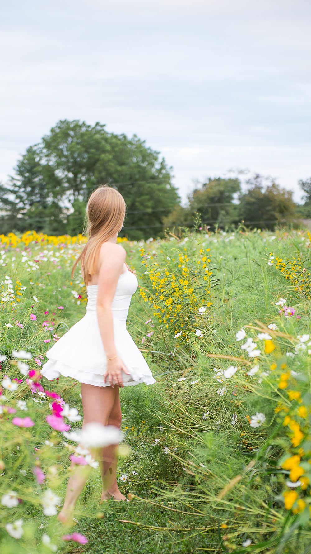 A dreamy summer scene shows a person in a white dress walking through a vibrant wildflower meadow filled with cosmos blooms.