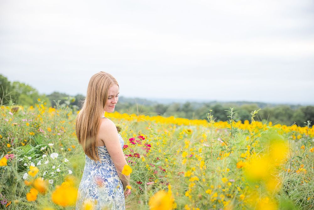 A person stands in a vibrant yellow wildflower field on a sunny summer day, surrounded by blooming flowers.