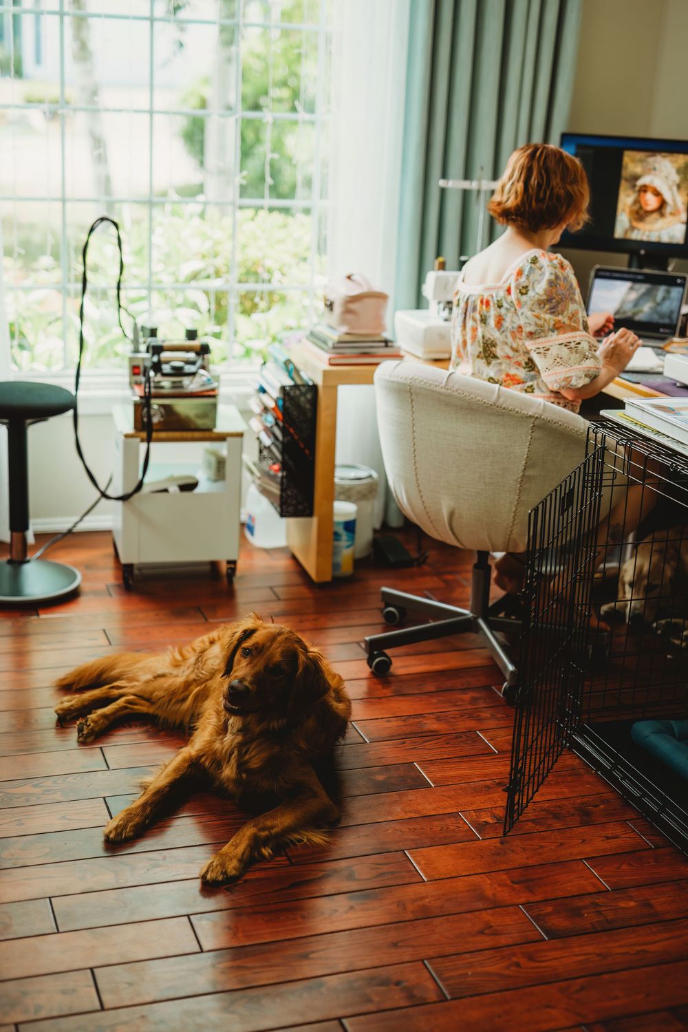 A golden retriever rests on hardwood floor near a desk with sewing supplies and a pet crate.