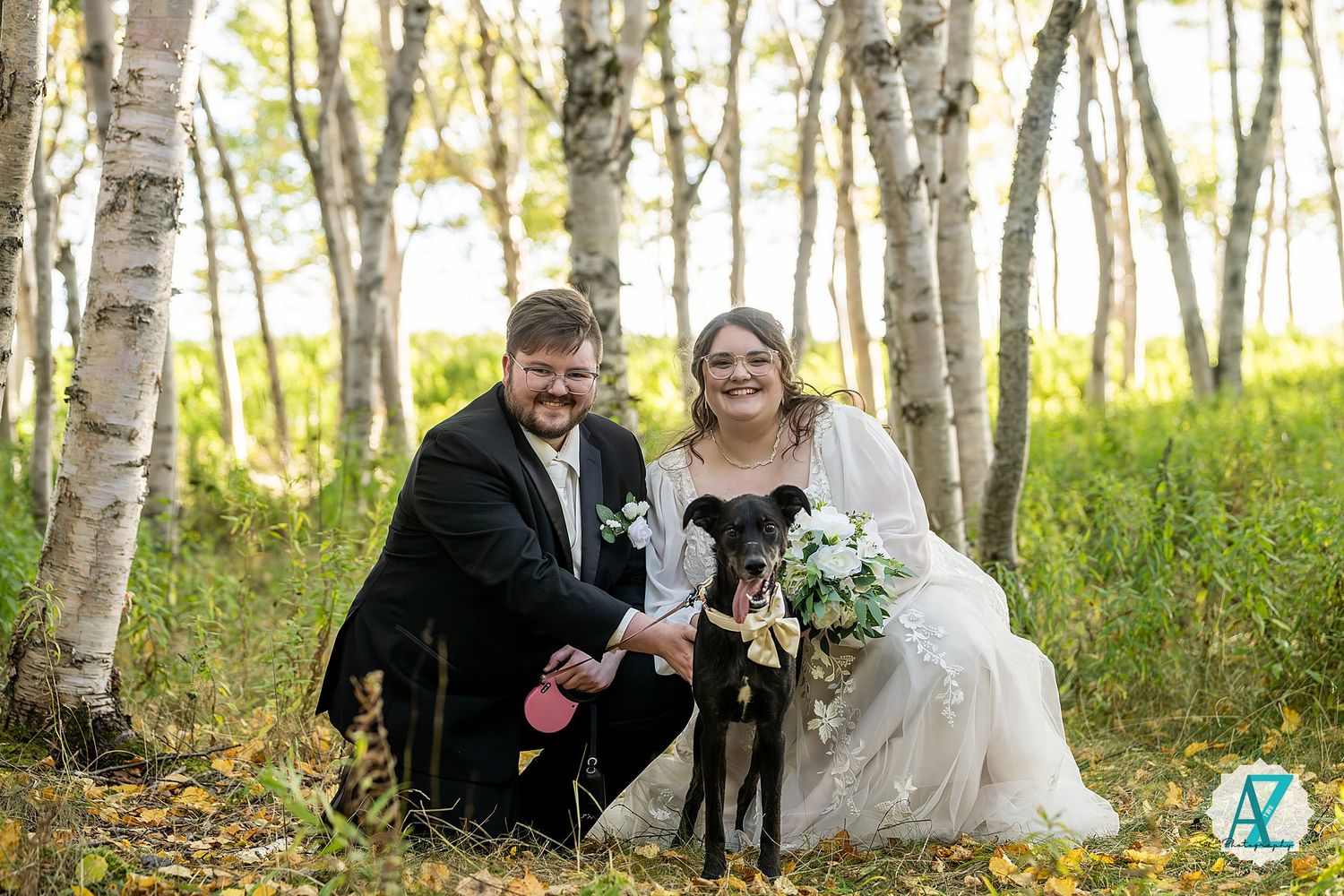 A wedding couple poses with their black dog in a birch forest during autumn.