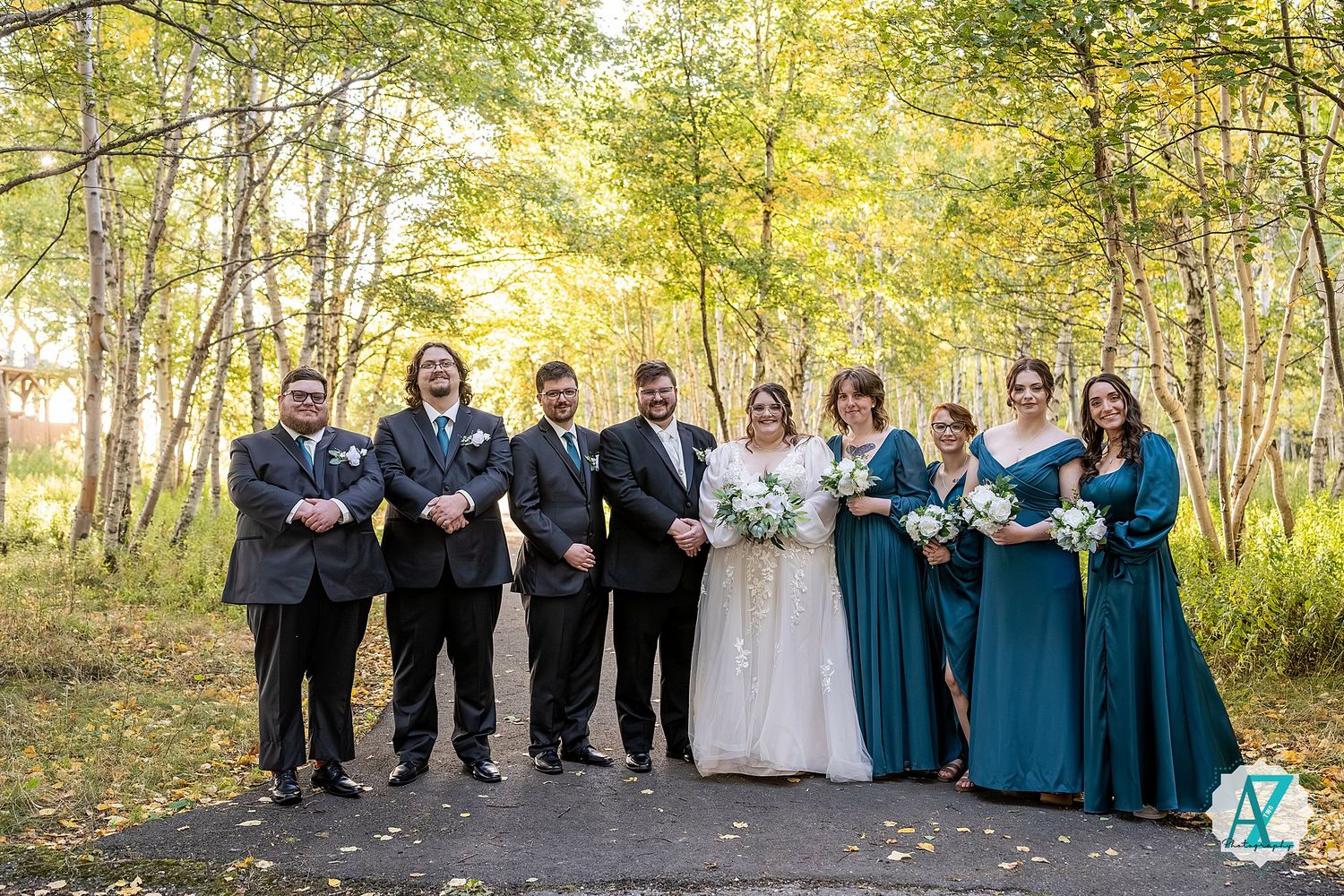 Large wedding party arranged in a panoramic shot within a sunlit birch forest setting.
