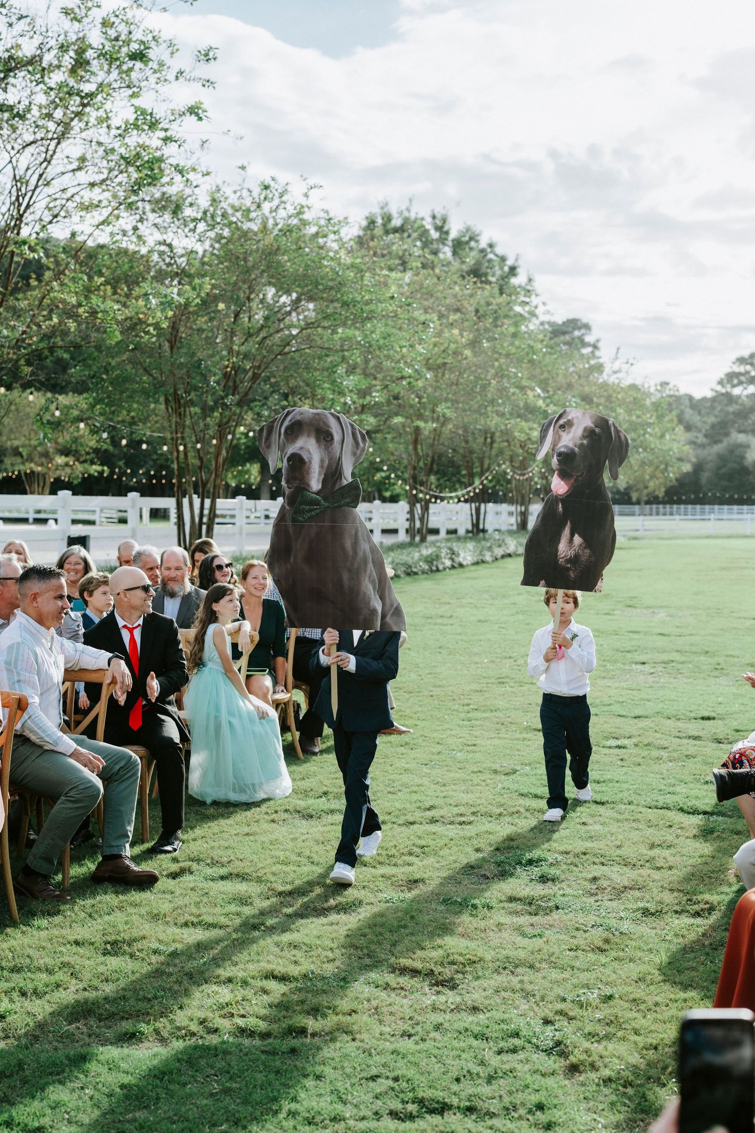 Two large dogs are being carried down an outdoor wedding aisle with guests seated on either side at a garden ceremony.