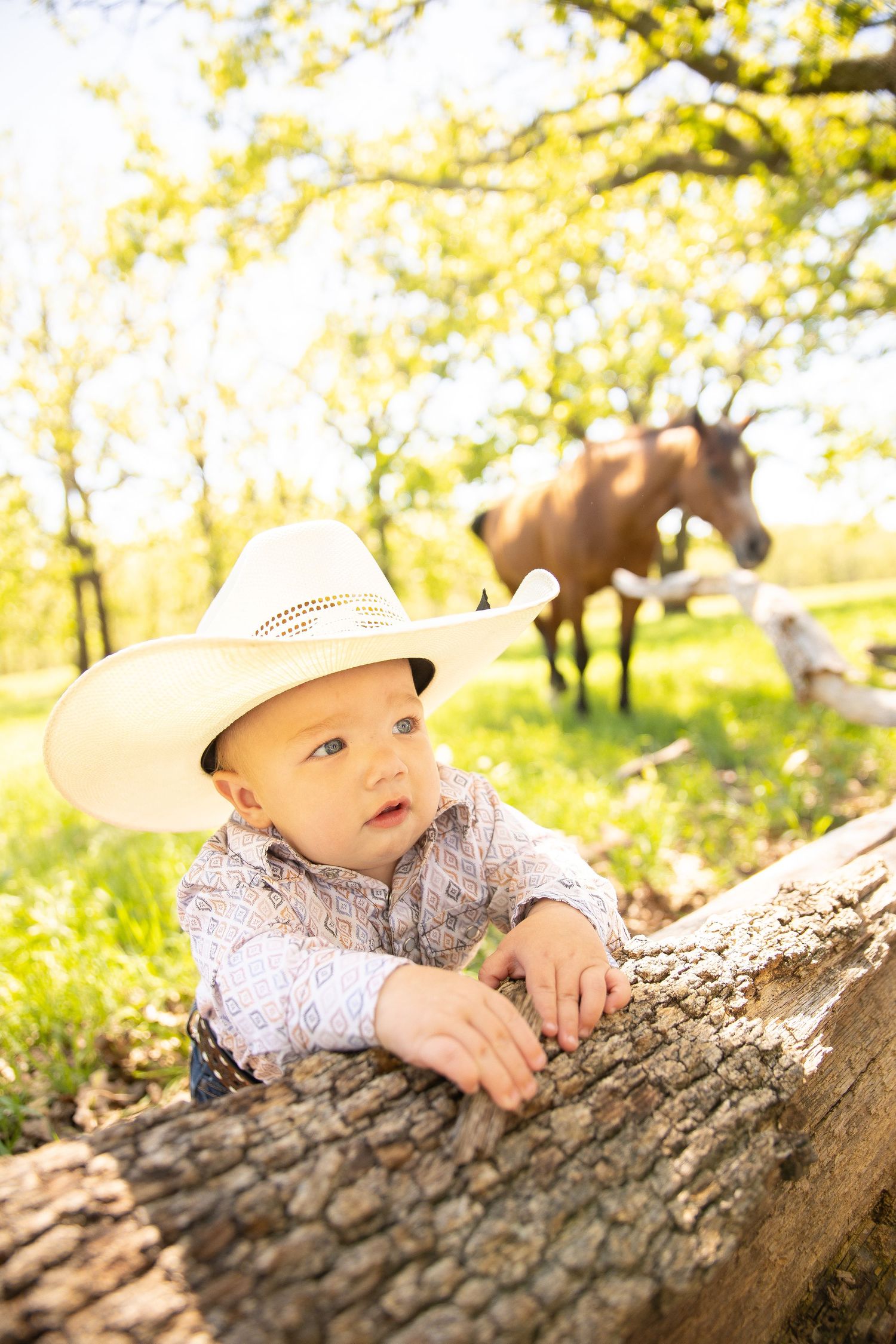 A child in a straw hat peeks over a fallen tree trunk in a sun-dappled forest setting during springtime.