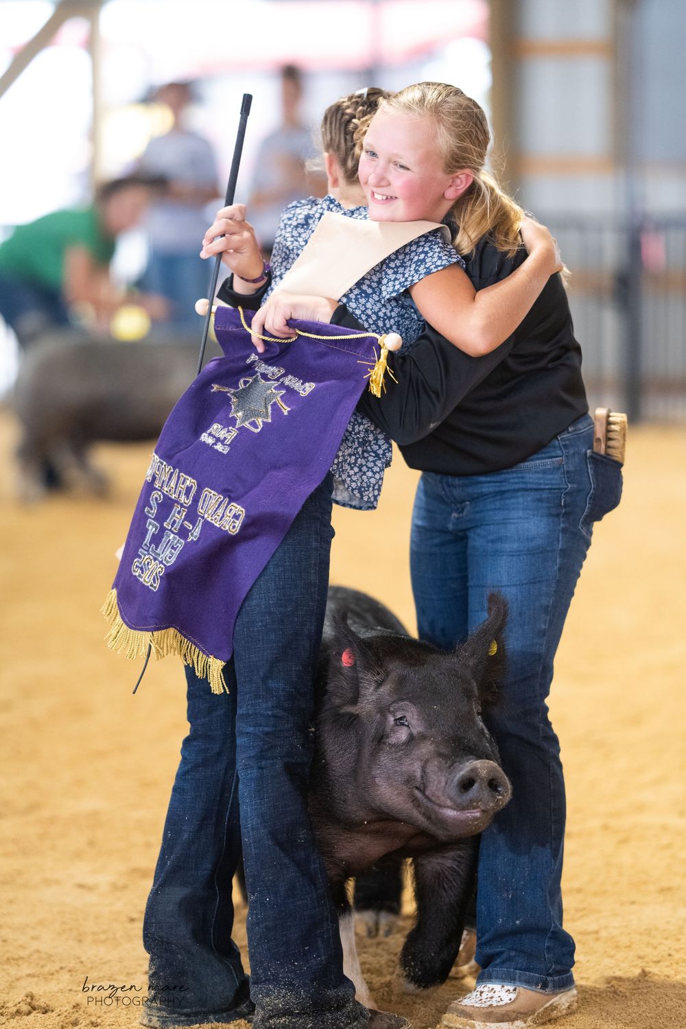 Show pig competition with purple banners and denim-clad participants.