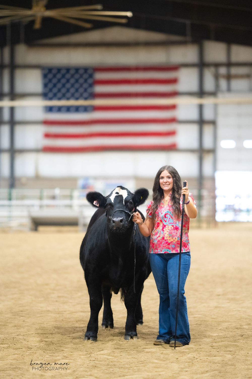 Black show calf standing in indoor arena with American flags displayed overhead.
