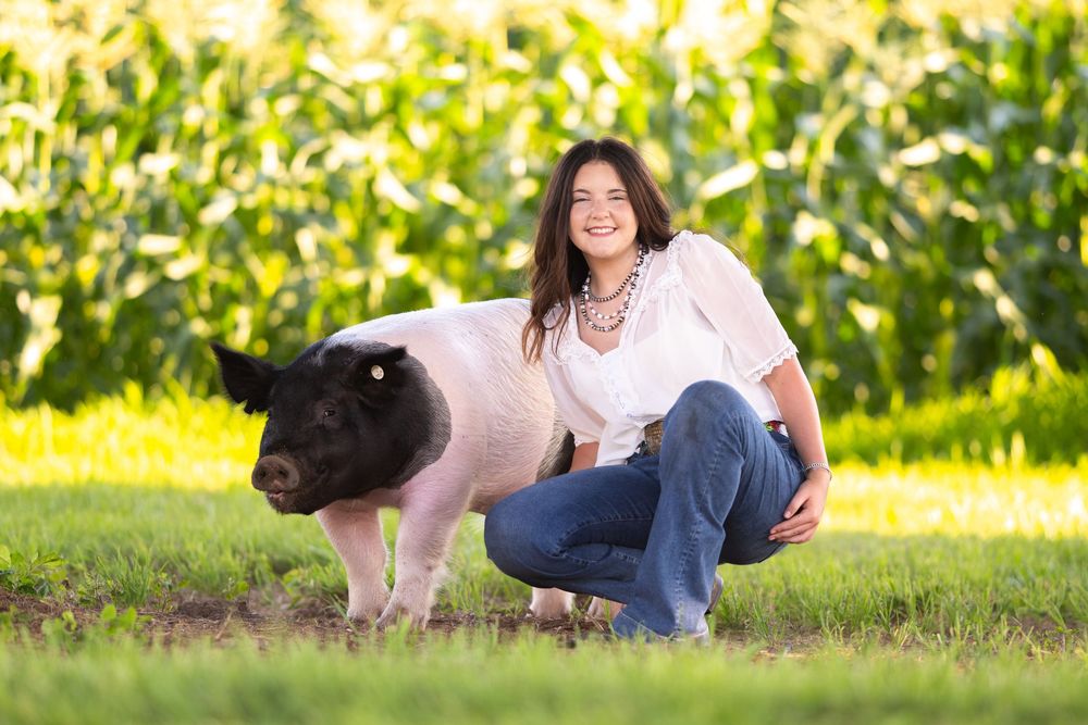A black and white show pig poses with someone in casual attire against a green corn field background.