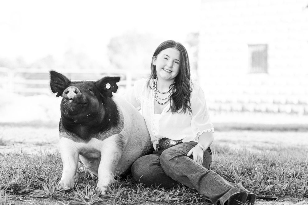 Black and white photo of a show pig and someone sitting outdoors.