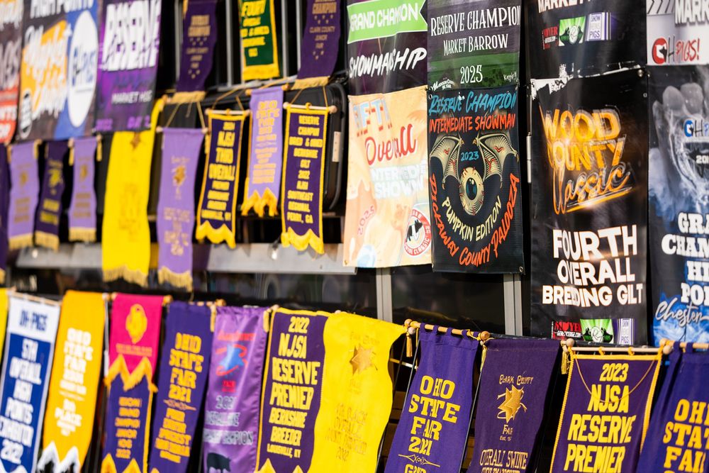 Colorful band t-shirts displayed on retail wall with various music and concert designs.