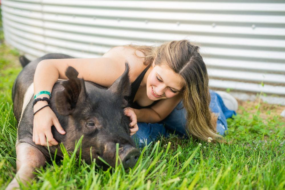 Training session with black pig on grassy field at agricultural event.
