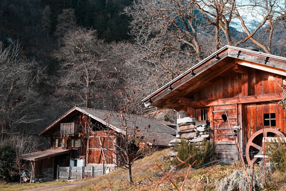 Rustic wooden cabins nestled among bare winter trees along a mountain slope create a cozy wilderness retreat setting.
