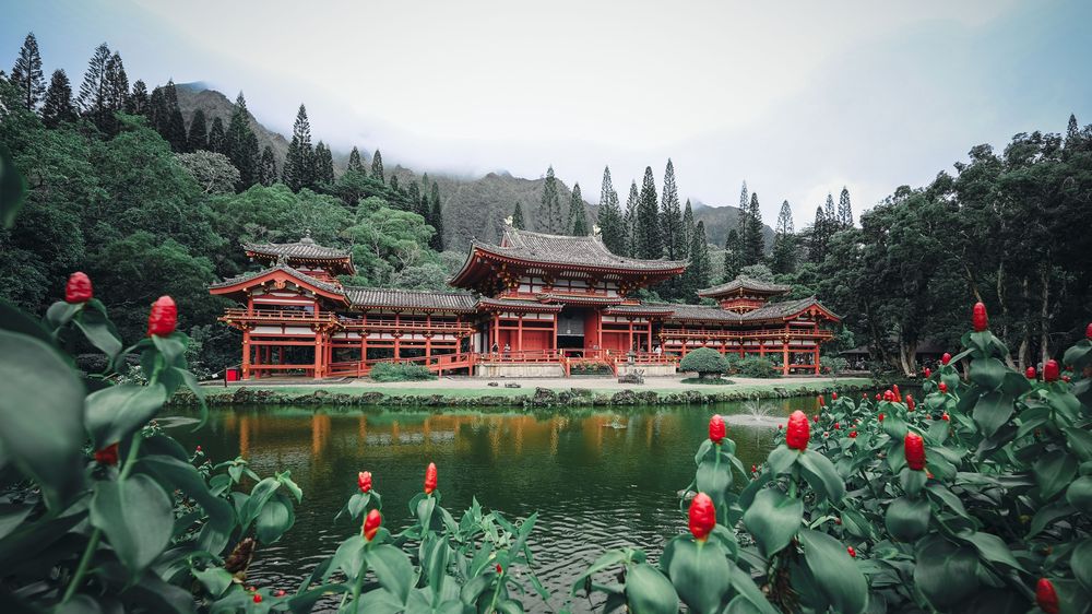 Japanese temple complex with red buildings nestled among lush green trees beside a tranquil pond with red lanterns.
