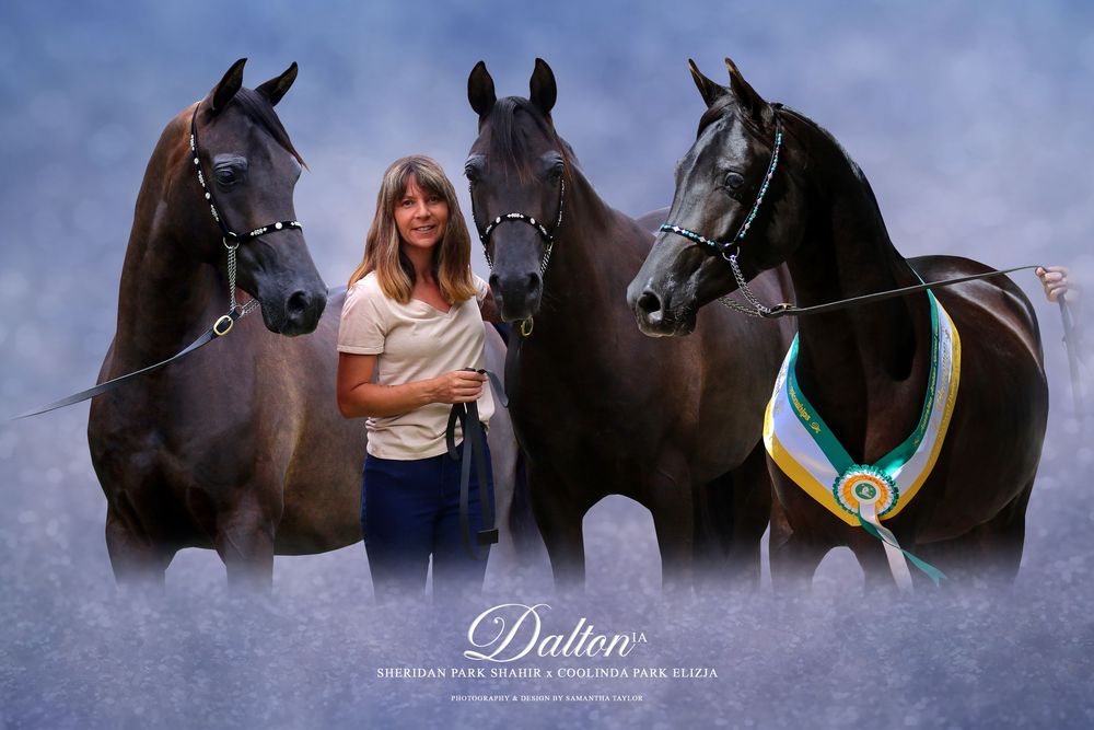 Photographer & Graphic Designer based in Longwarry, Victoria ~ Australia.