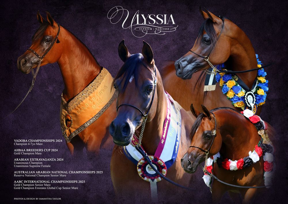 Photographer & Graphic Designer based in Longwarry, Victoria ~ Australia.