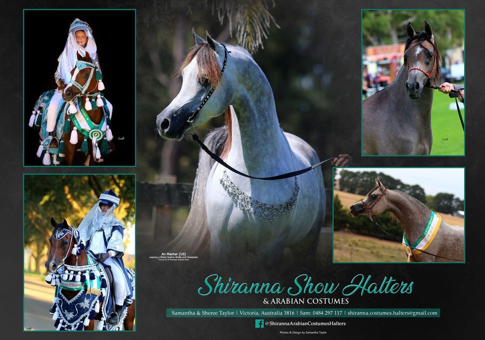 Photographer & Graphic Designer based in Longwarry, Victoria ~ Australia.