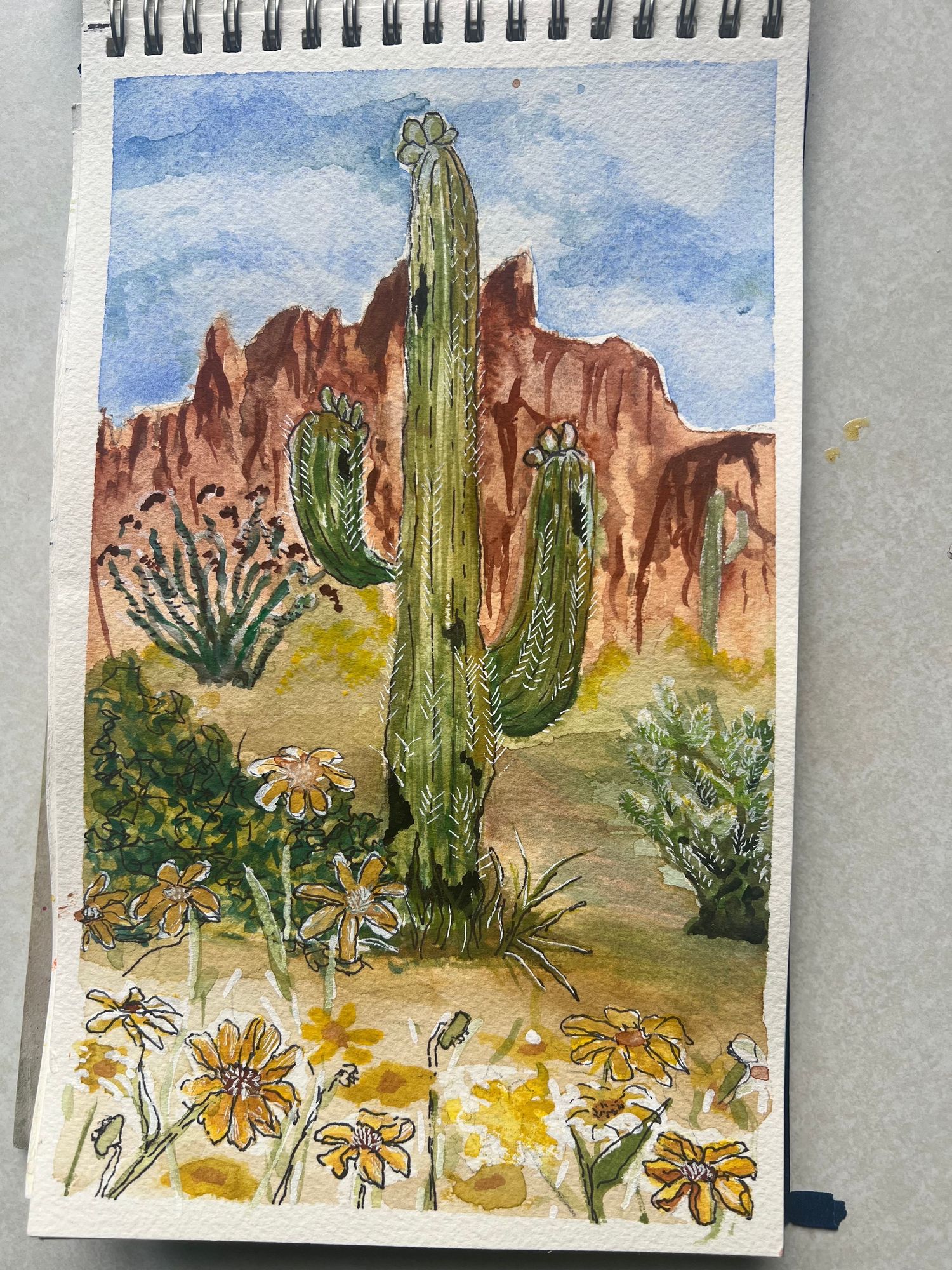 Watercolor sketch of a desert landscape with tall saguaro cactus, red rock formations, and yellow wildflowers in the foreground.