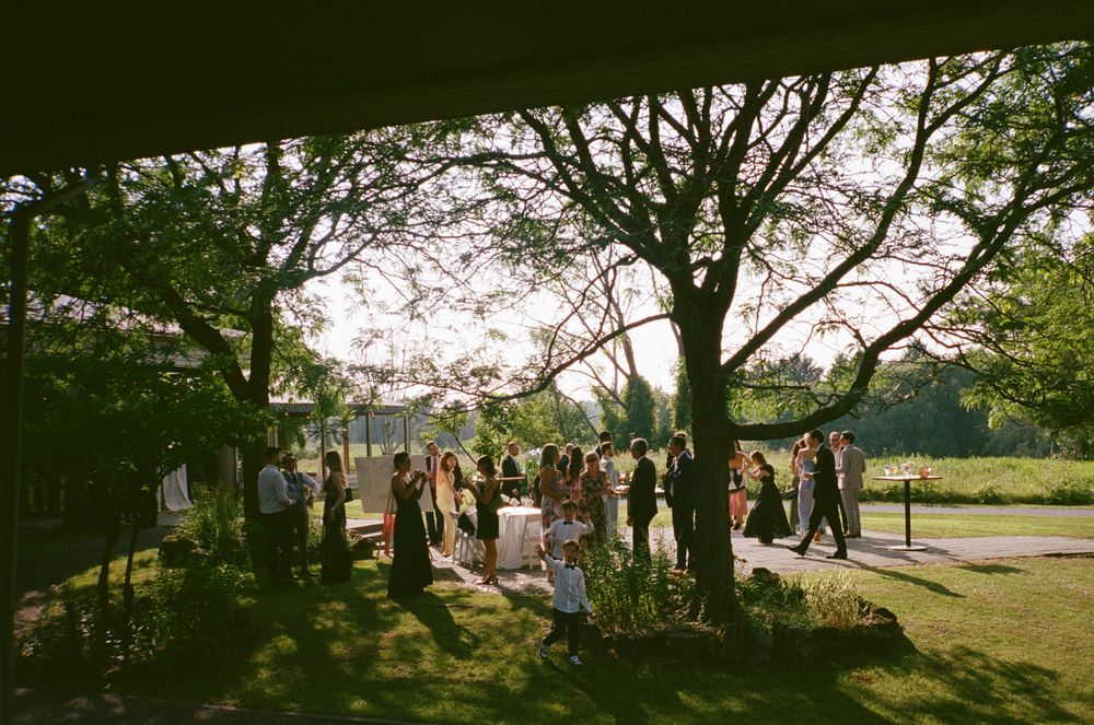 A scenic panoramic view of a tree-lined path with green grass and flowering trees in a peaceful park setting.