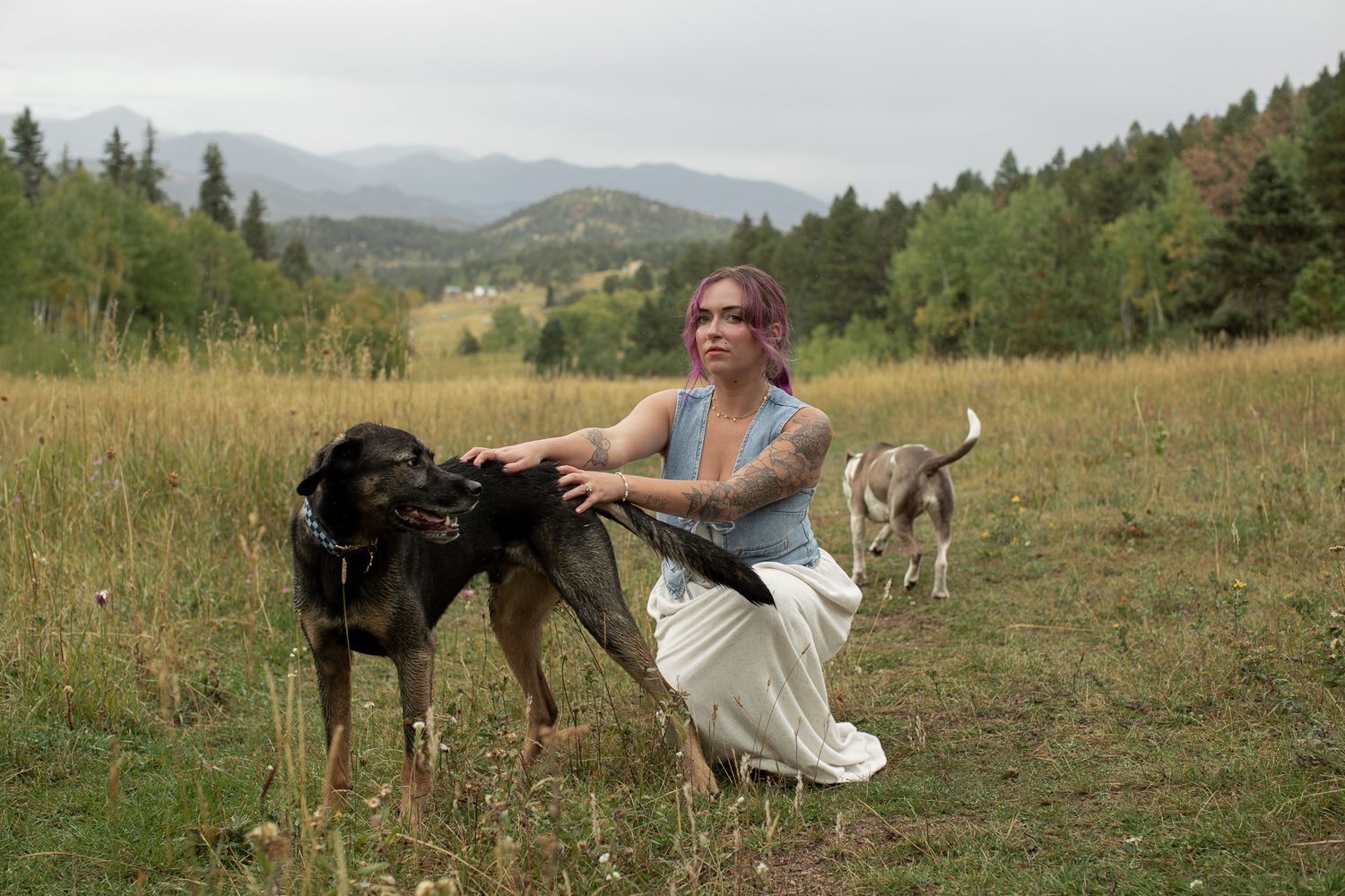 Dogs and person relaxing on a yellow blanket in a scenic mountain meadow with evergreen trees in background.