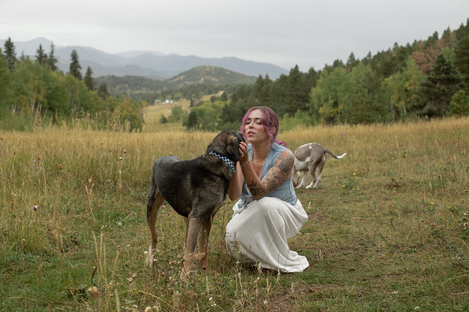 Three dogs sitting with person on yellow blanket in mountain field during golden hour.