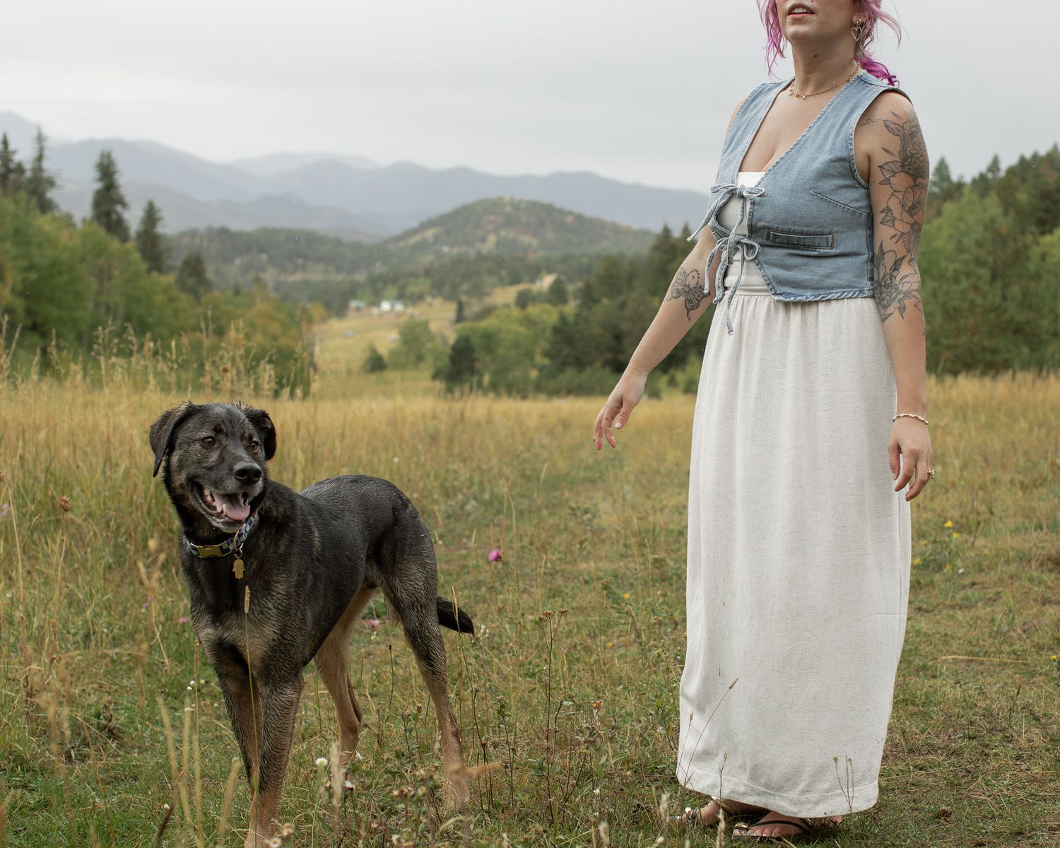 Dogs playing and interacting with person on grassy hillside with mountain vista in background.