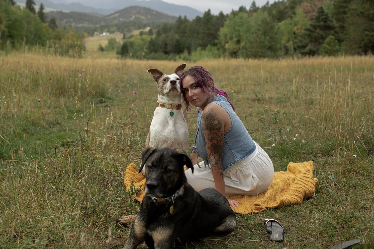 Person sitting with three friendly dogs on yellow blanket in mountain meadow setting.