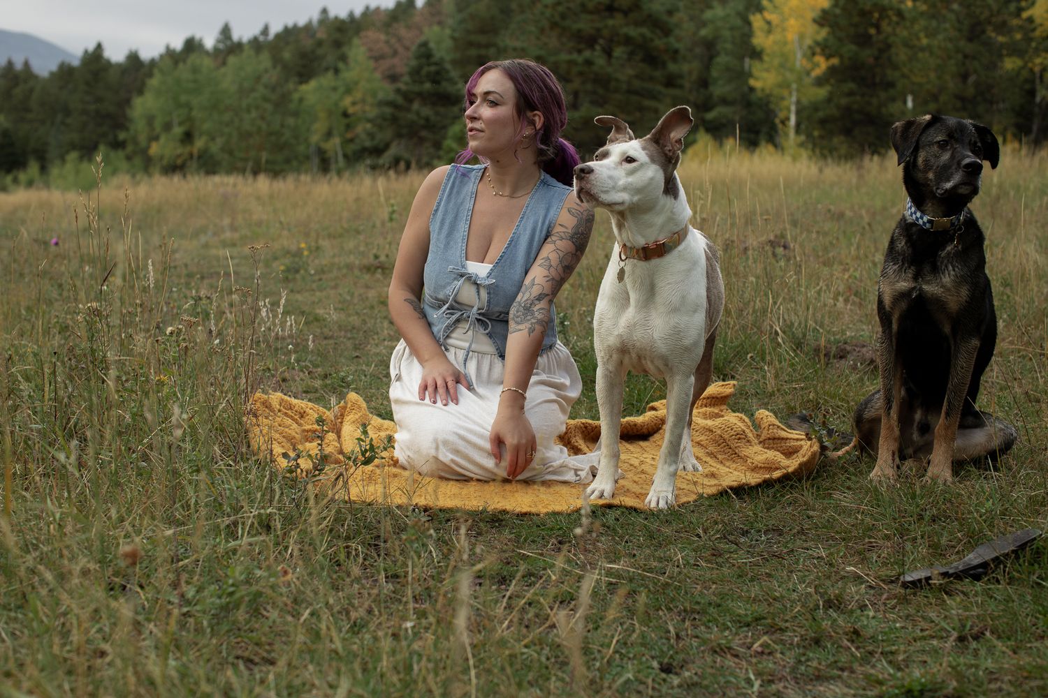 Three dogs and person enjoying afternoon on yellow blanket with mountain landscape behind.
