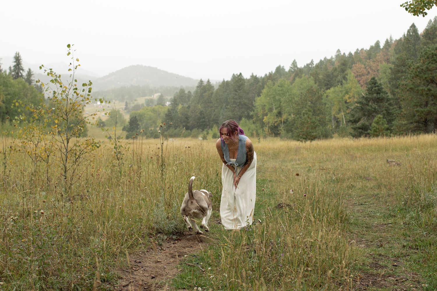 Someone in a white dress stands on a dirt path through a grassy meadow with a dog and mountains in the background.