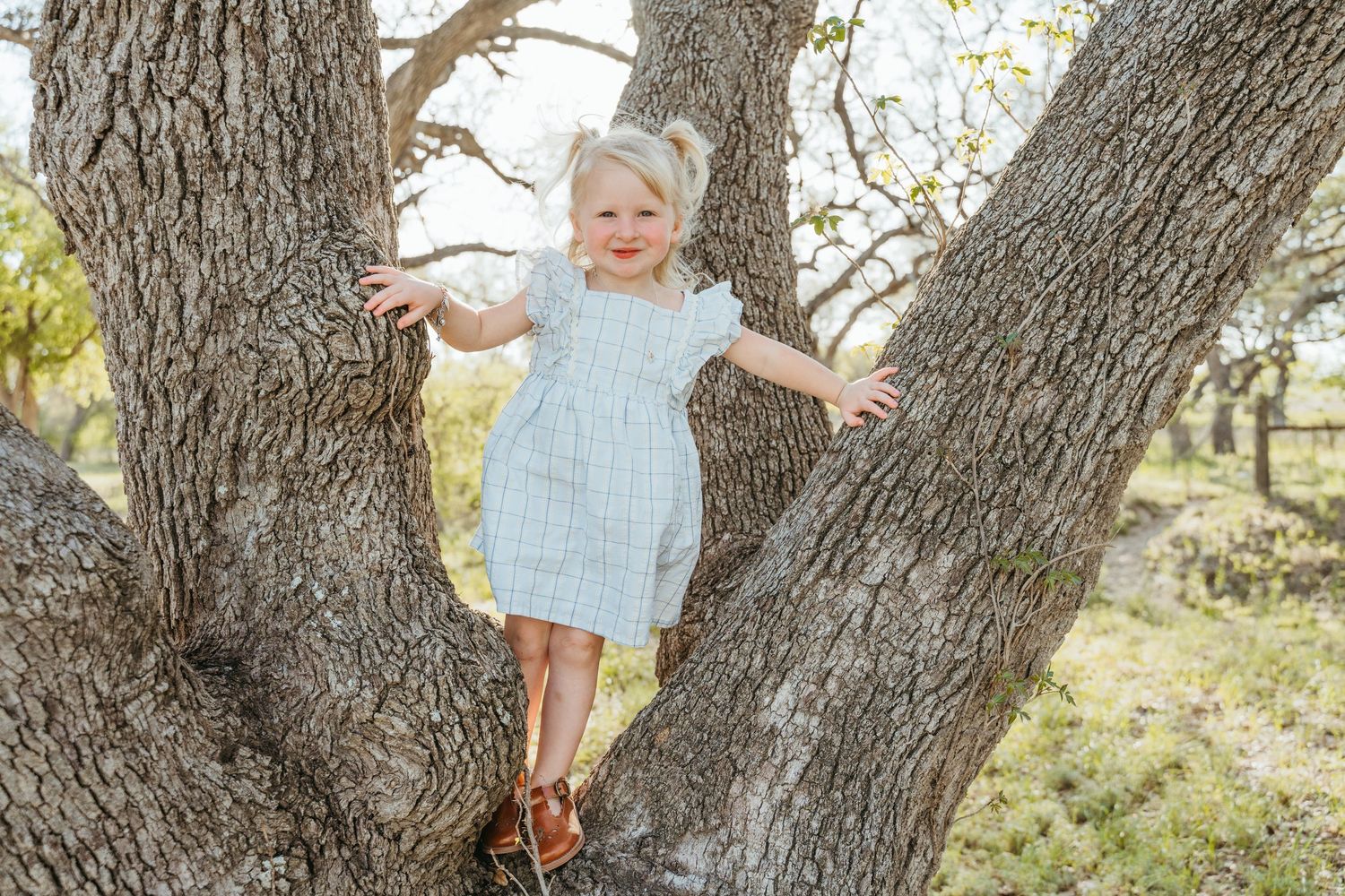 A toddler girl in a blue dress stands smiling in the fork of a large tree outdoors.