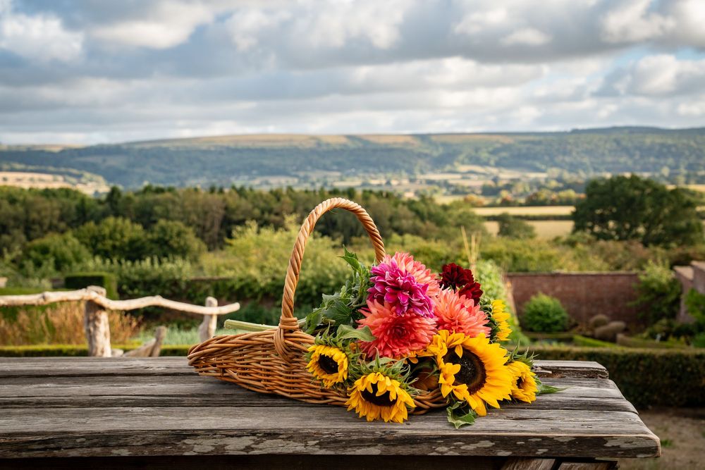 Vibrant sunflower blooms in a rustic wicker basket sit on a wooden deck overlooking rolling hills under a cloudy sky.