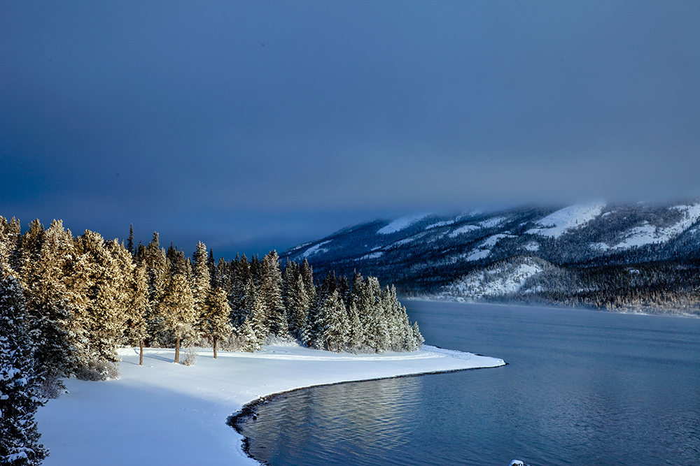 Winter landscape